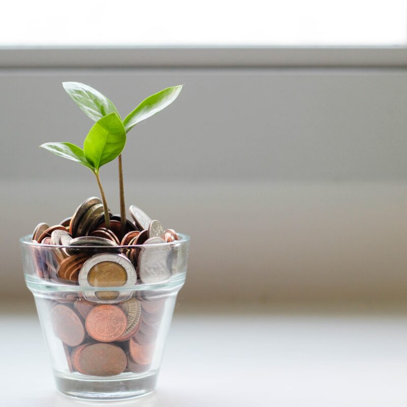 growing from home