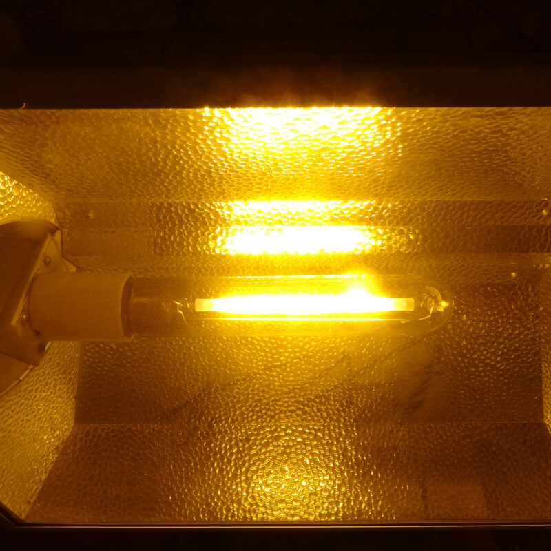 hps lights