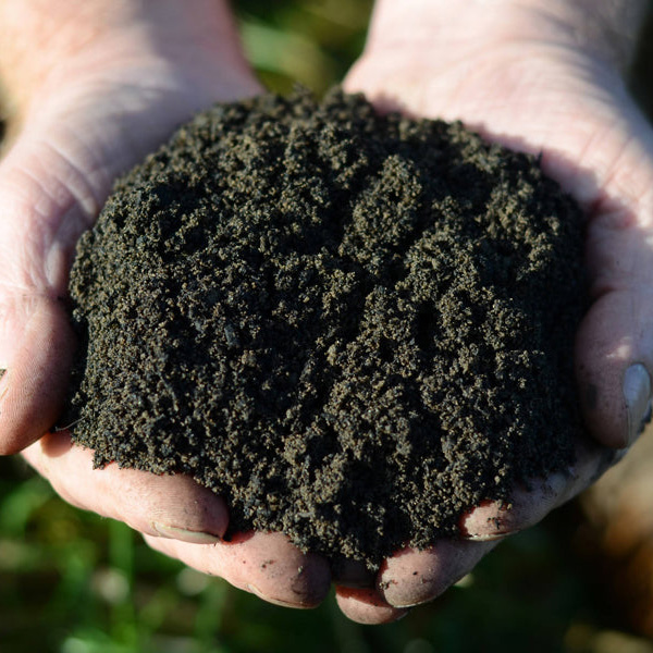 Worm Castings Worm Castings