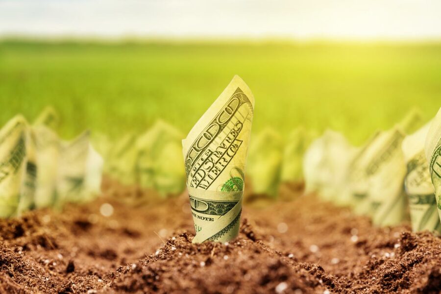 American dollars grow from the ground