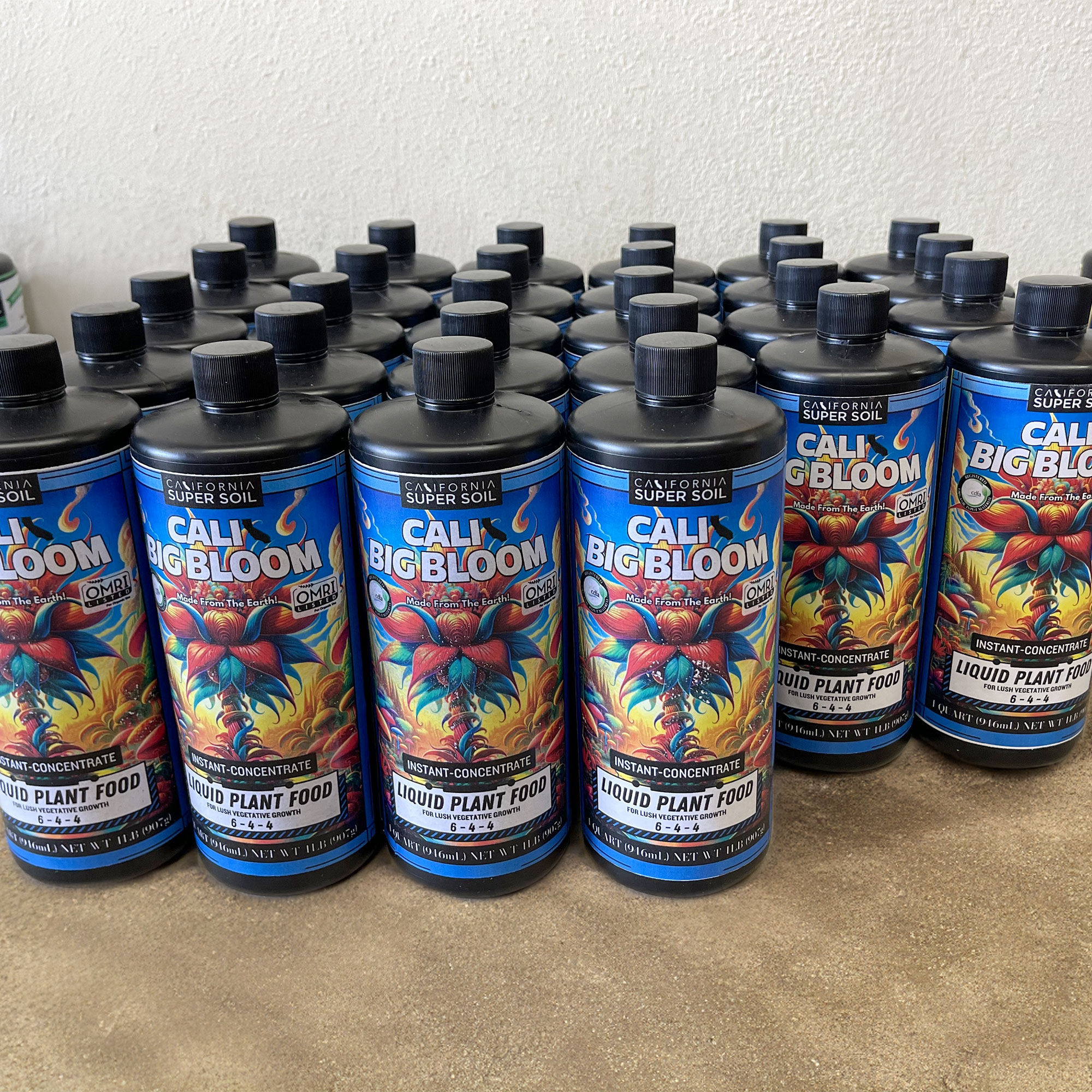 Cali Big Bloom Cali Big Bloom