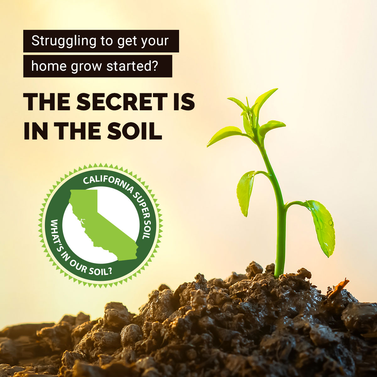 The Secret is in the Soil The Secret is in the Soil