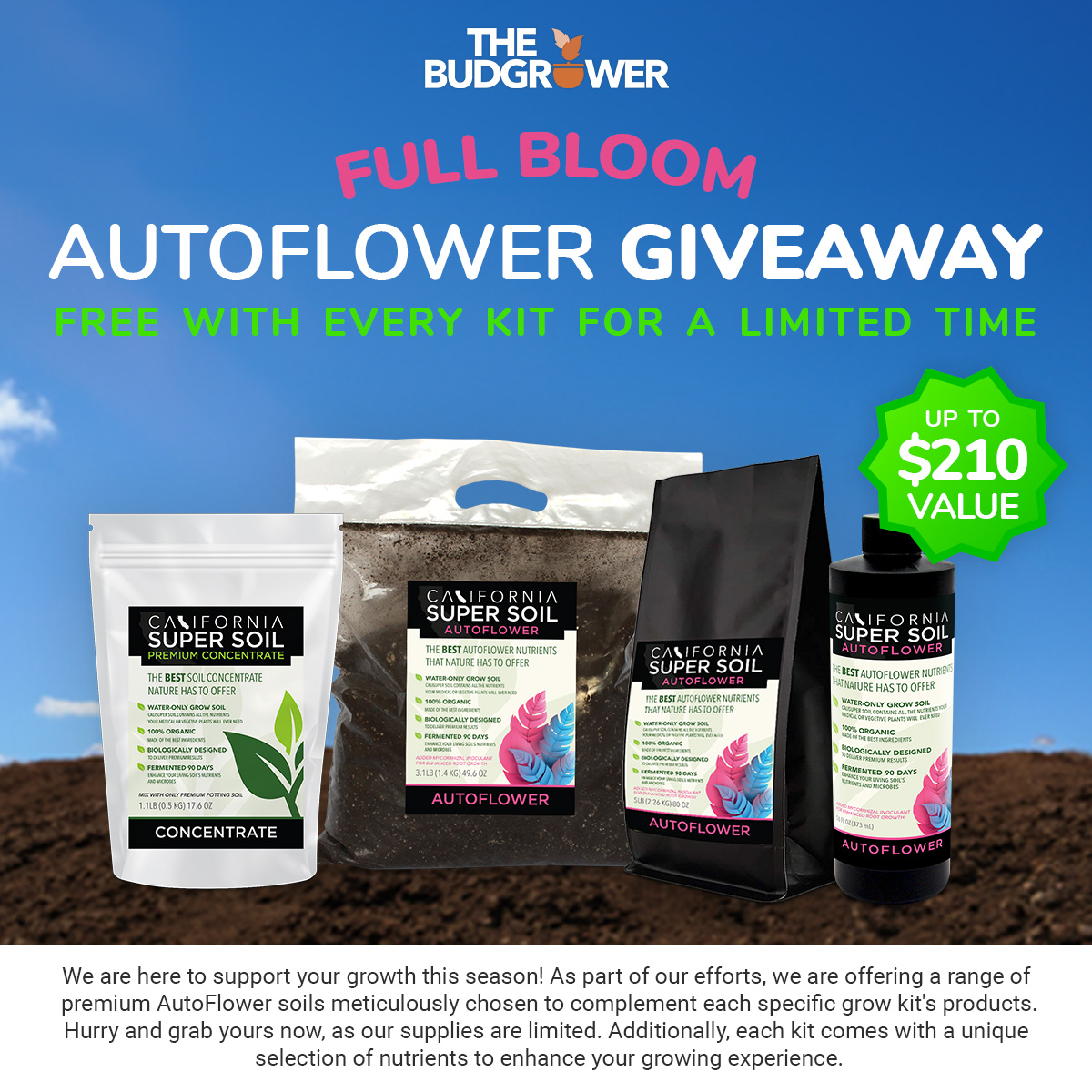 Full Bloom - AutoFlower Giveaway Full Bloom - AutoFlower Giveaway