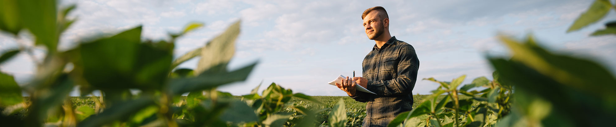 Green Education: Why Indoor Tents Are All The Rage