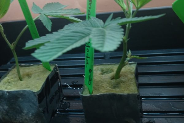 20210712_160425 20210712_160425