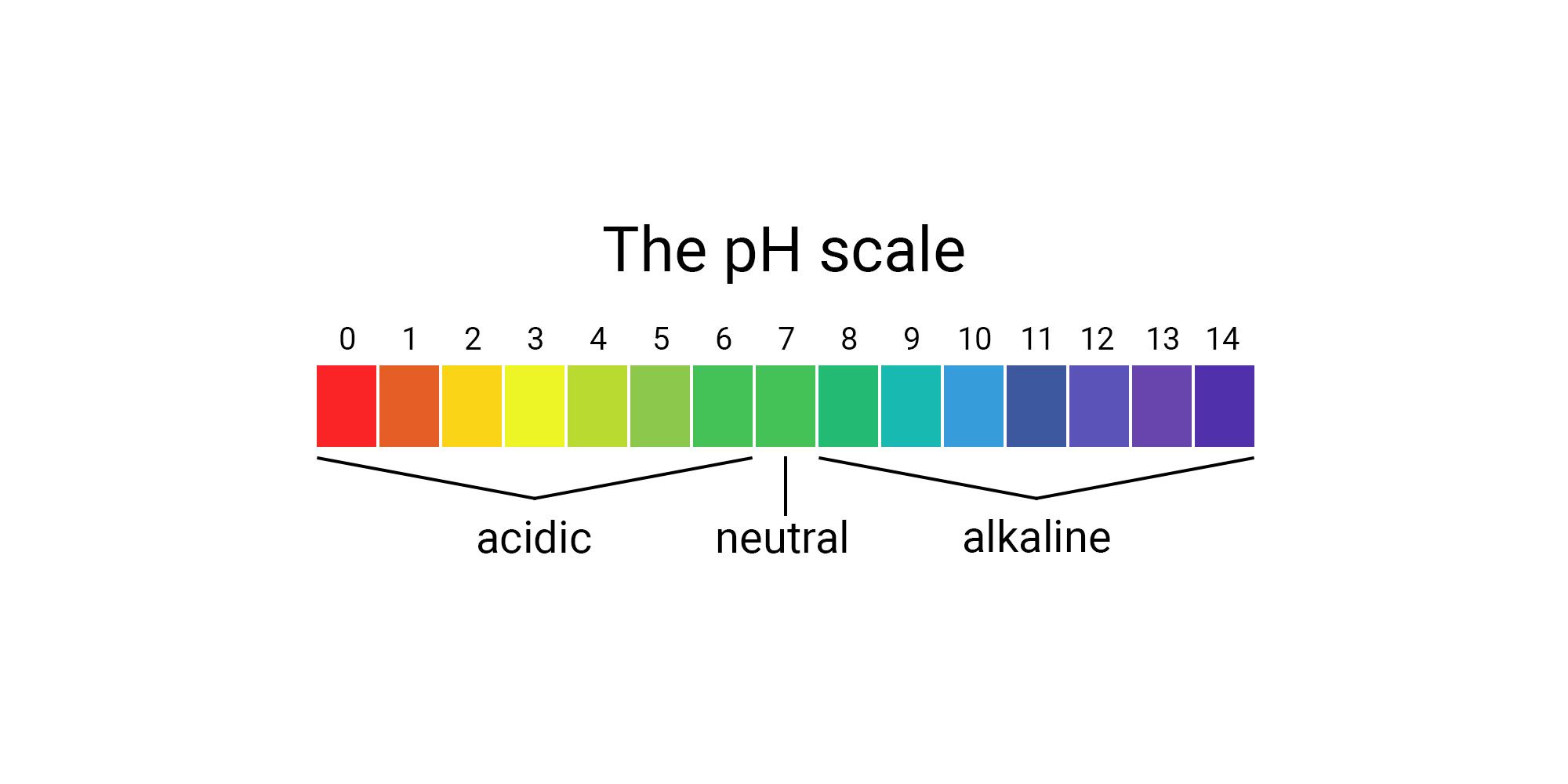 PH Level: Why Is This So Important?