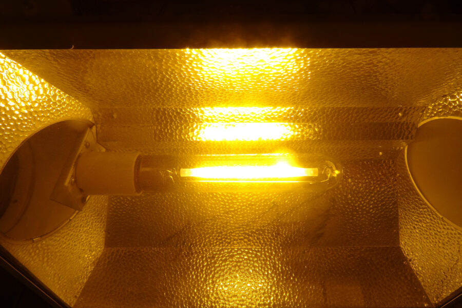 hps lights