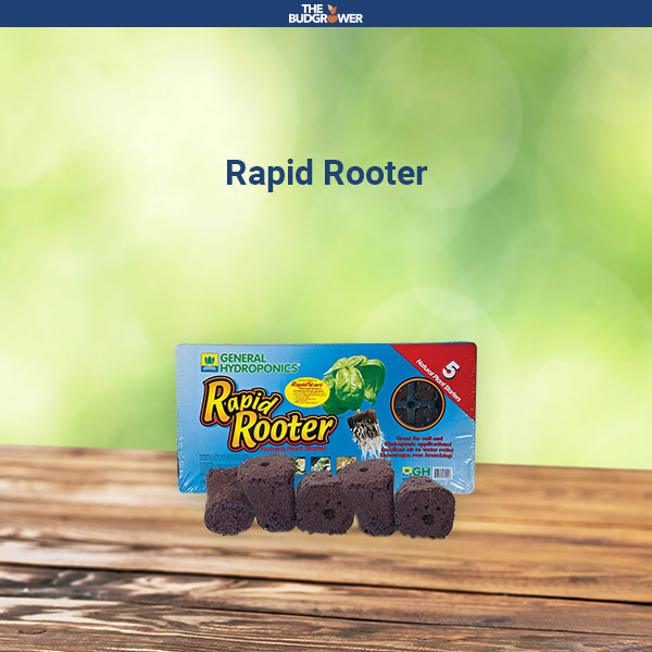 Rapid Rooter