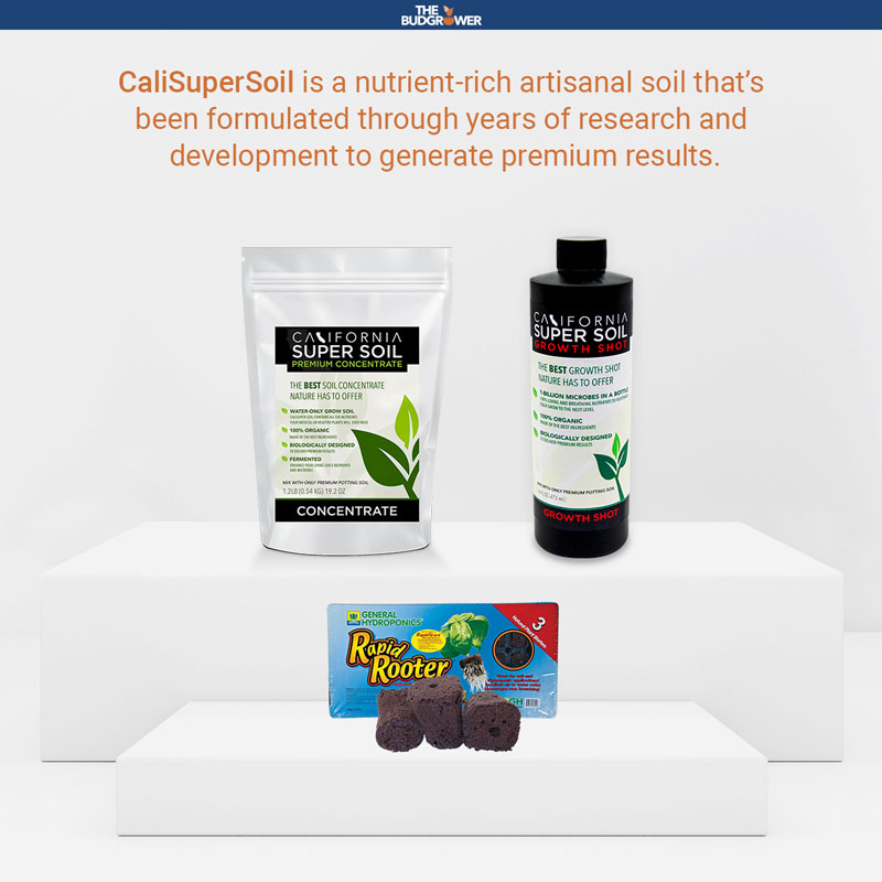 California Super Soil and Rapid Rooter