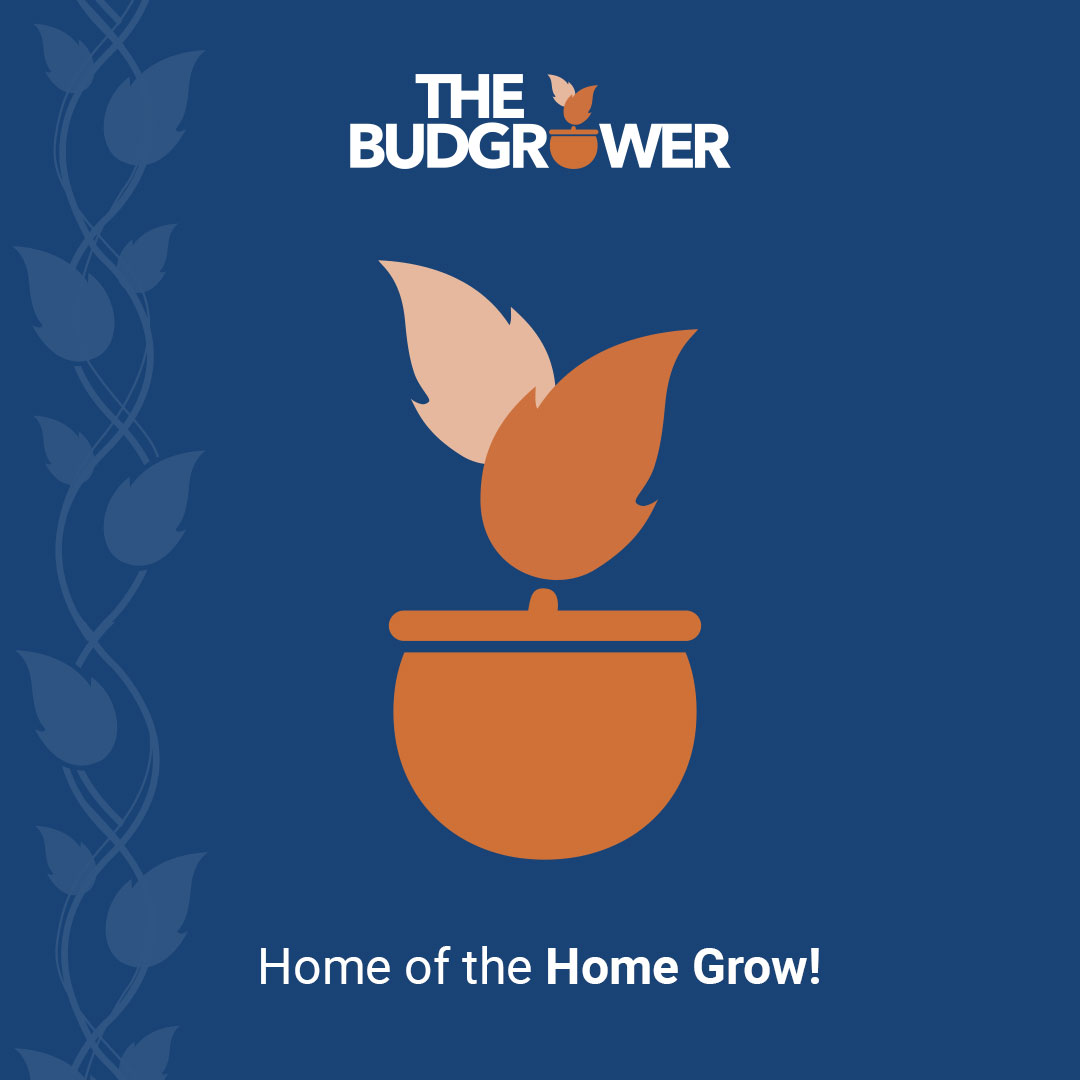TheBudGrower - Home of the Home Grow!