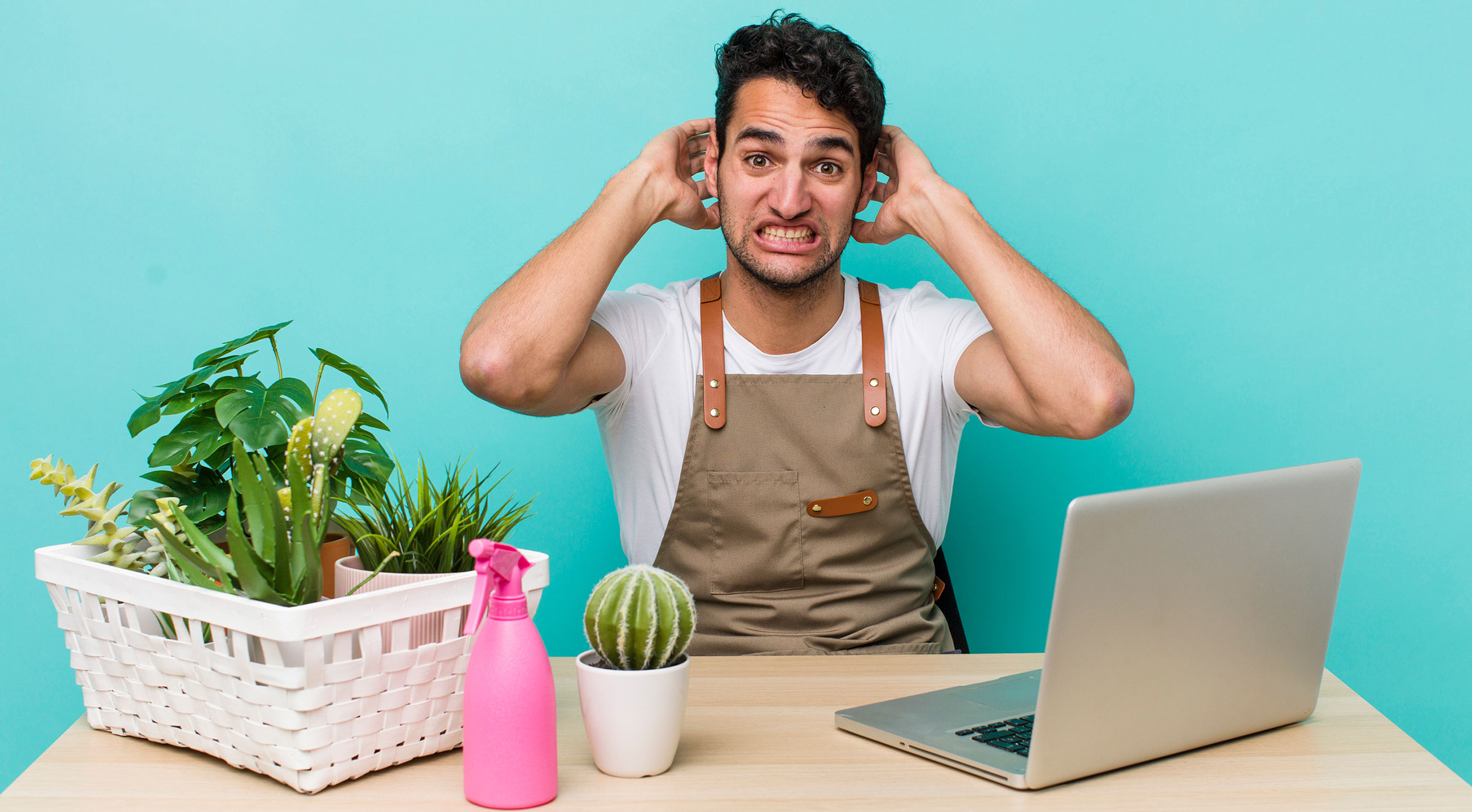 Four Reasons Why People Fail to Grow at Home