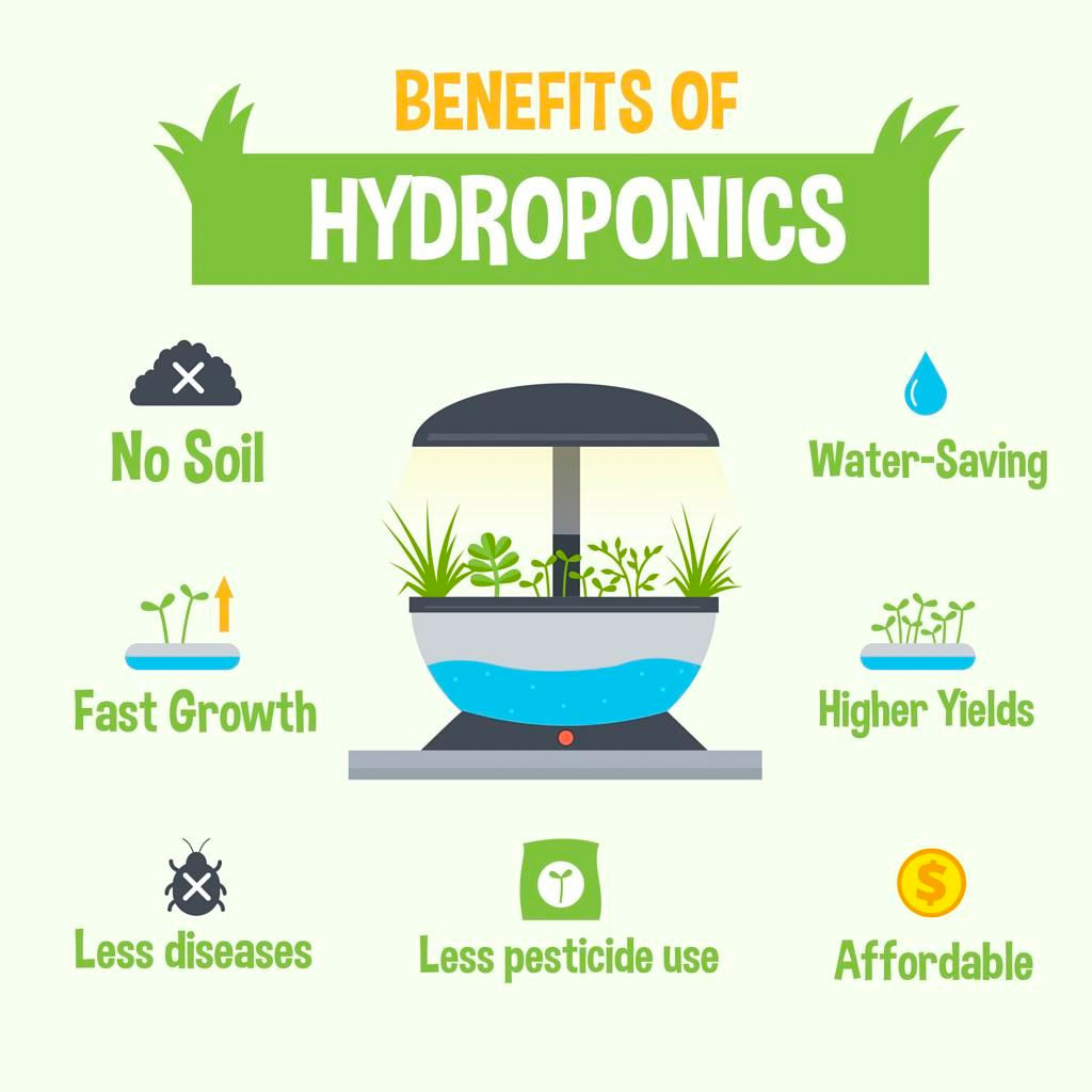 Benefits of Hydroponics
