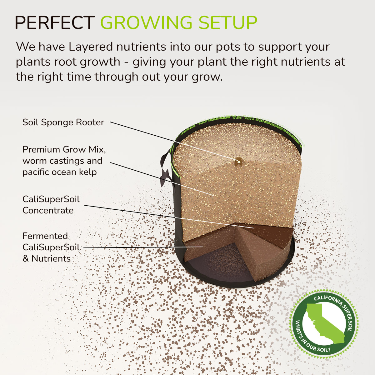 Perfect Growing Setup Perfect Growing Setup