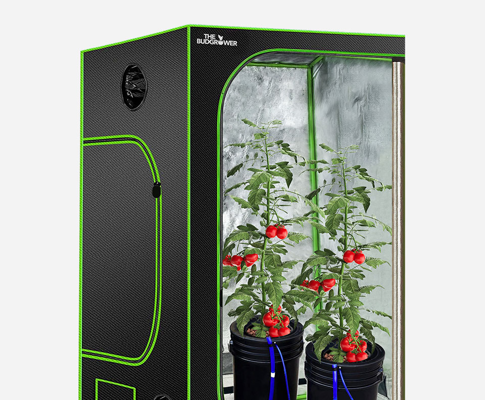 hydroponic tent