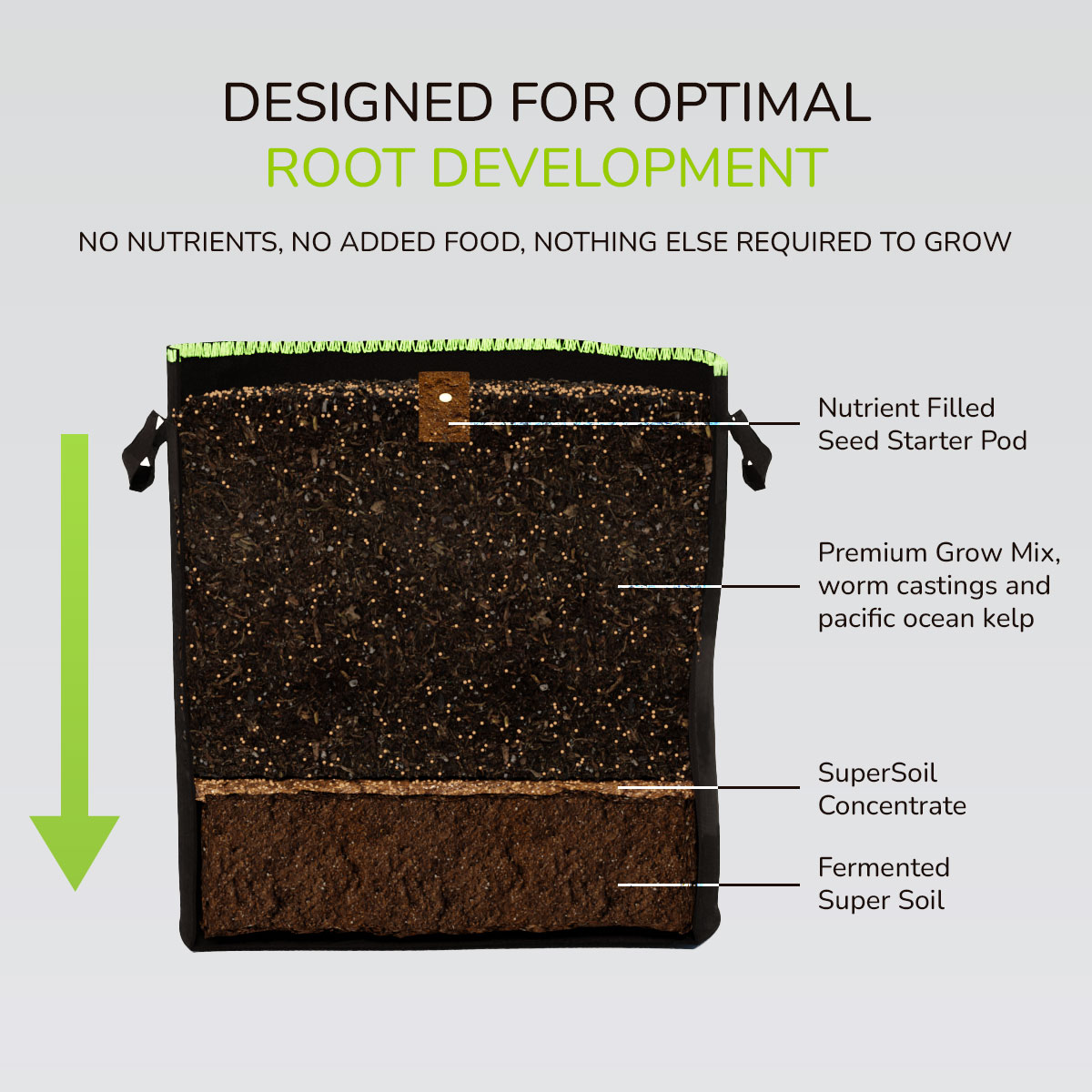 Designed for optimal root development Designed for optimal root development