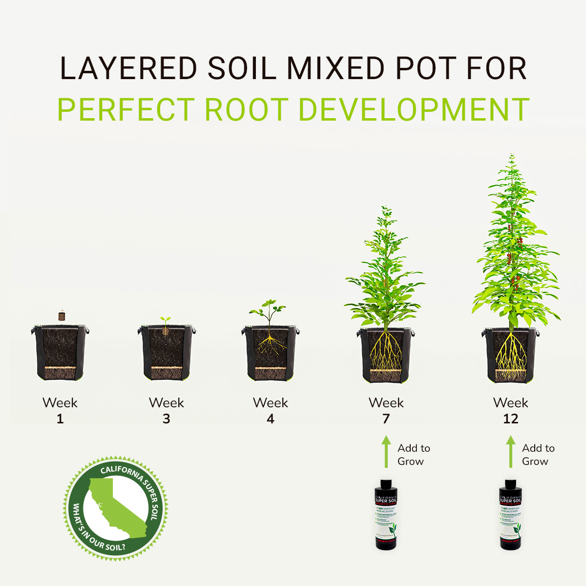 Layered soil mixed pot for perfect root development
