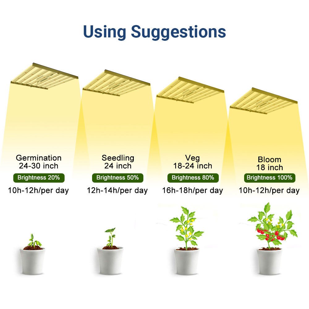 Using Suggestions Using Suggestions