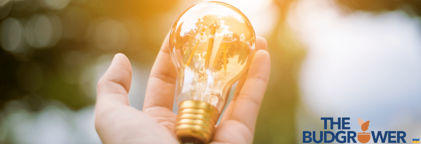 LED vs HPS Grow Lights