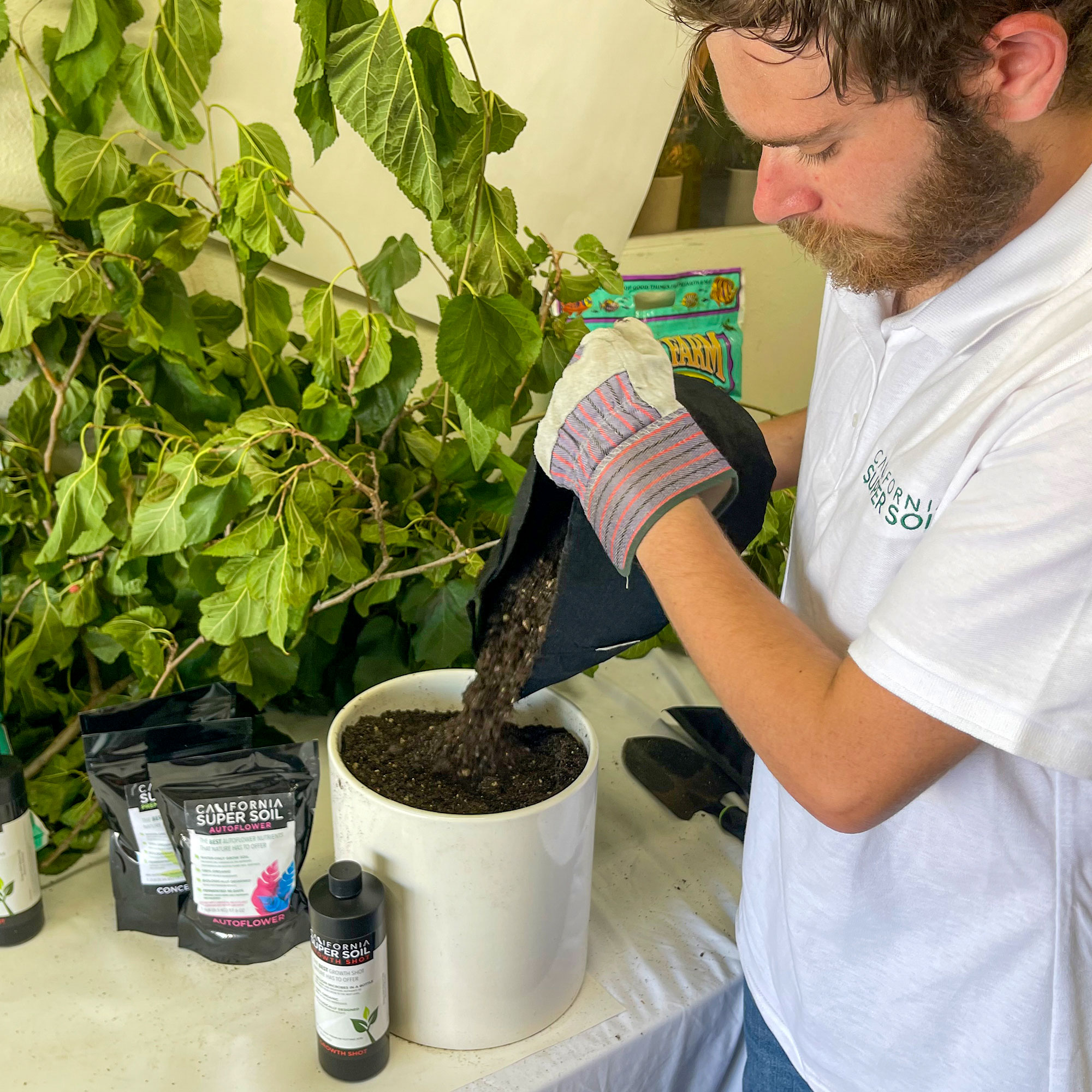 California Super Soil California Super Soil