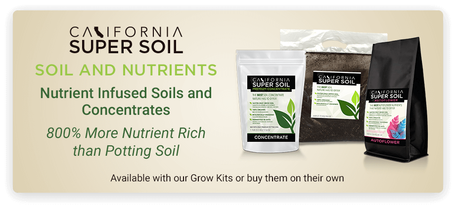 Soil and Nutrients