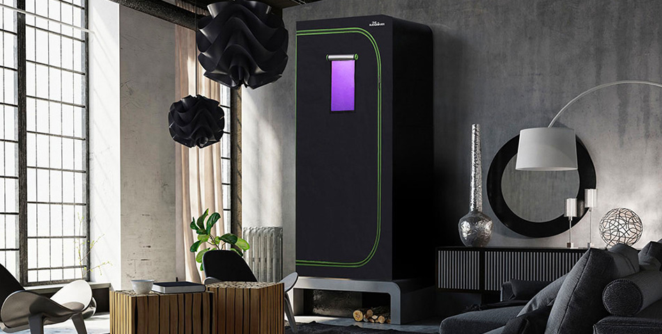 The Bud Grower home grow kit