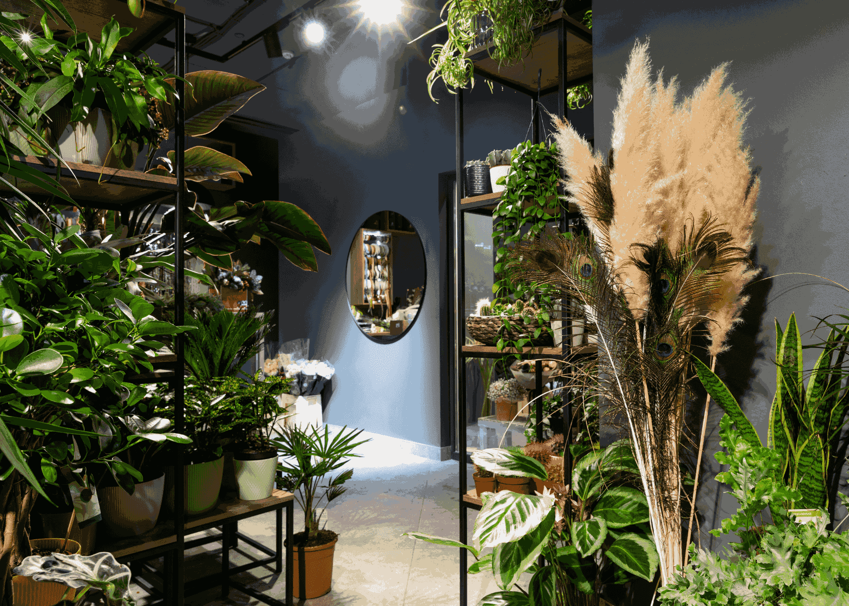 5 Most Expensive Plants In The World