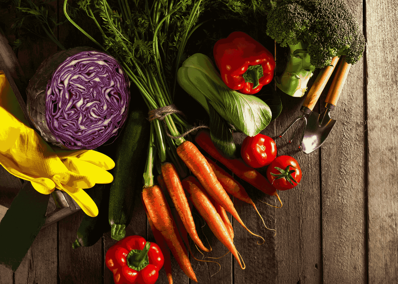 Top 6 Easiest Vegetables to Grow