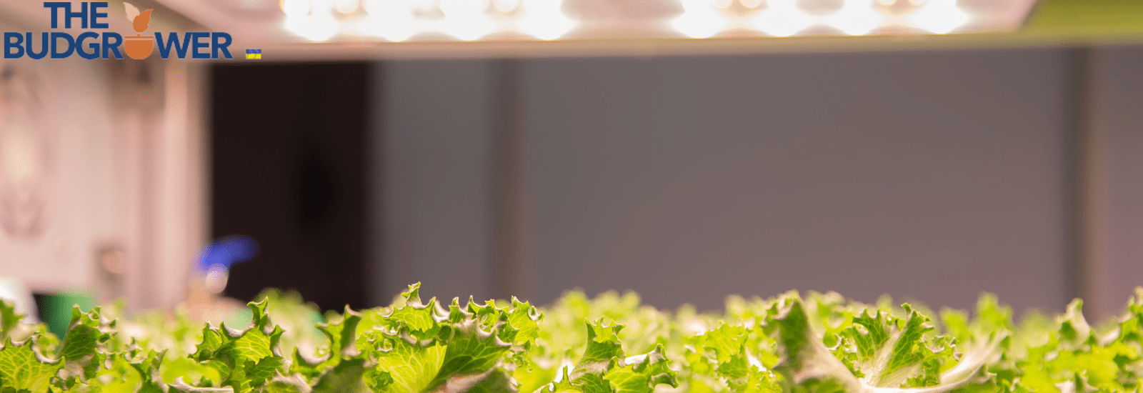 Artificial Grow Light