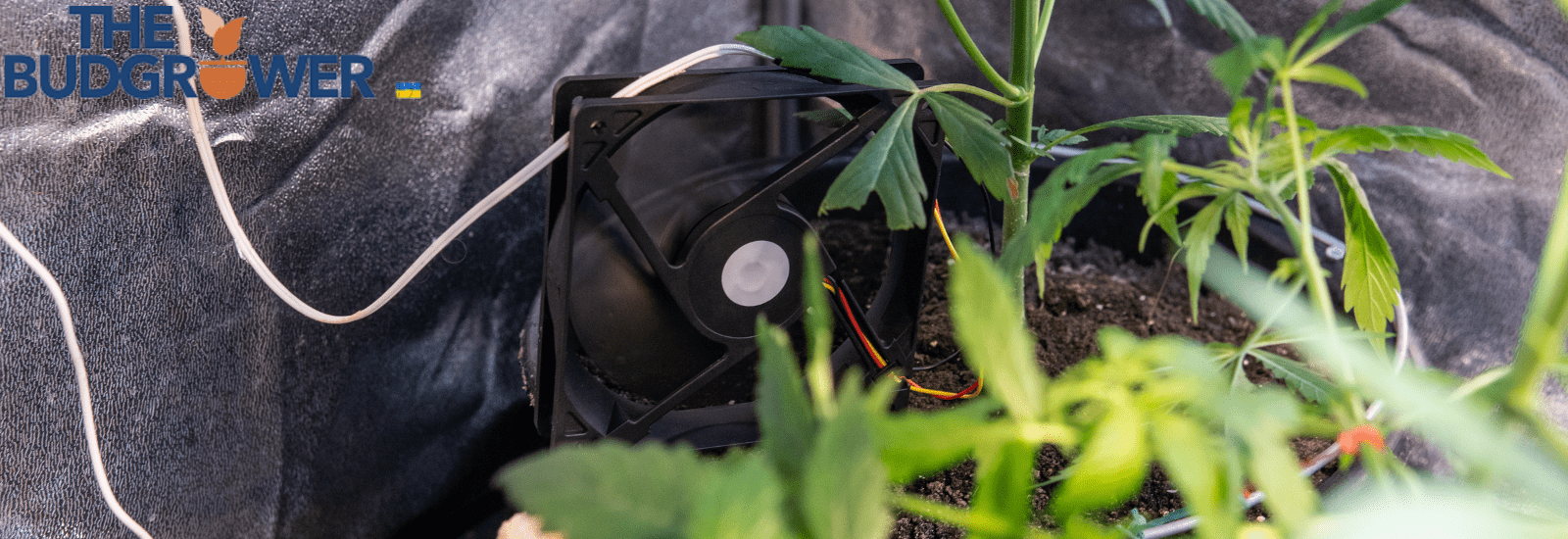 What are the Benefits of Using Tents