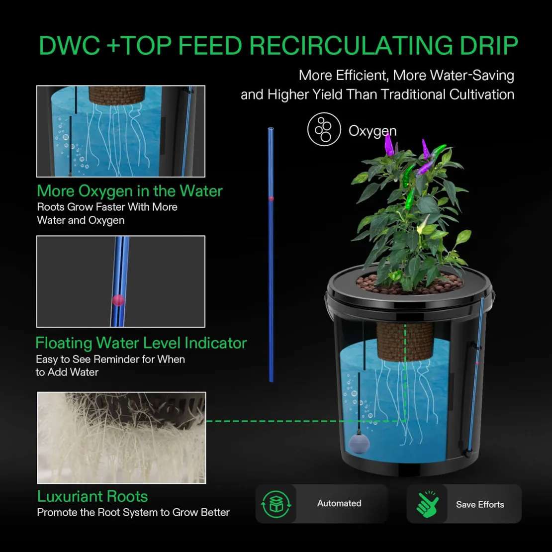 DWC + Top Feed Recirculation Drip DWC + Top Feed Recirculation Drip