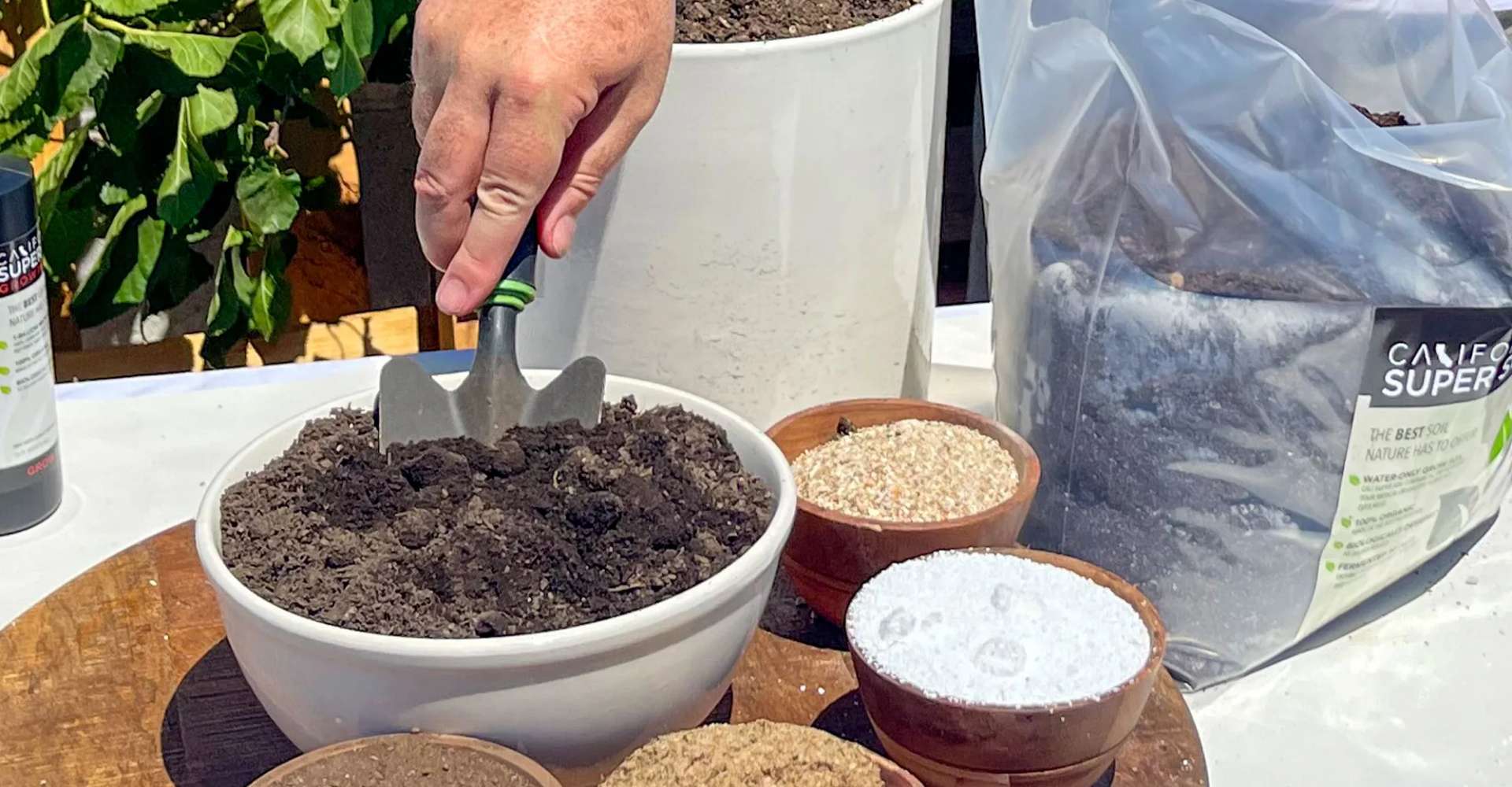 Best Soil & Nutrients