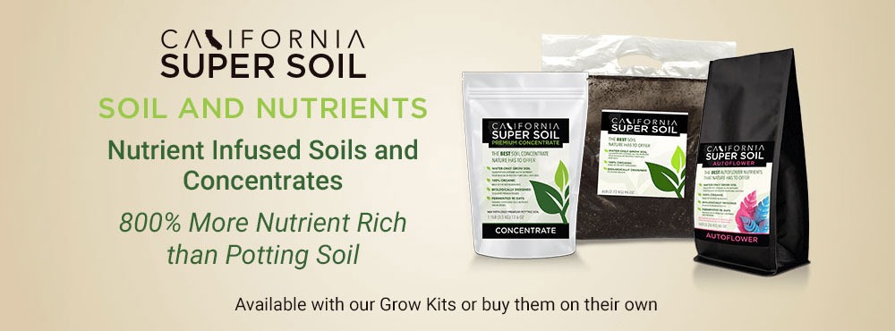 Soil and Nutrients