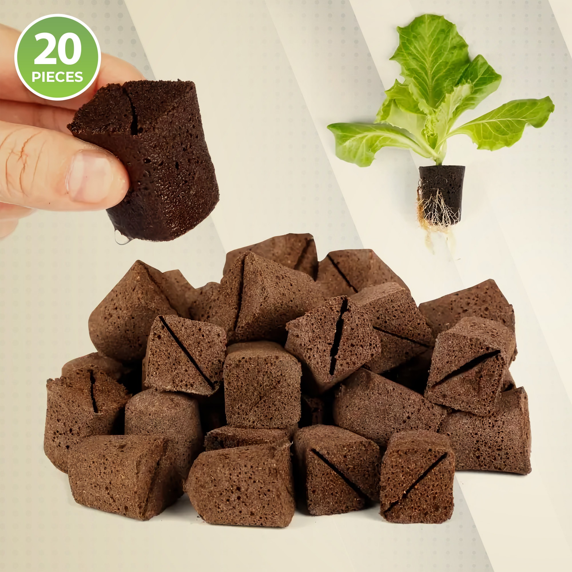 Nutrient-Enhanced Seedling Rapid Rooters