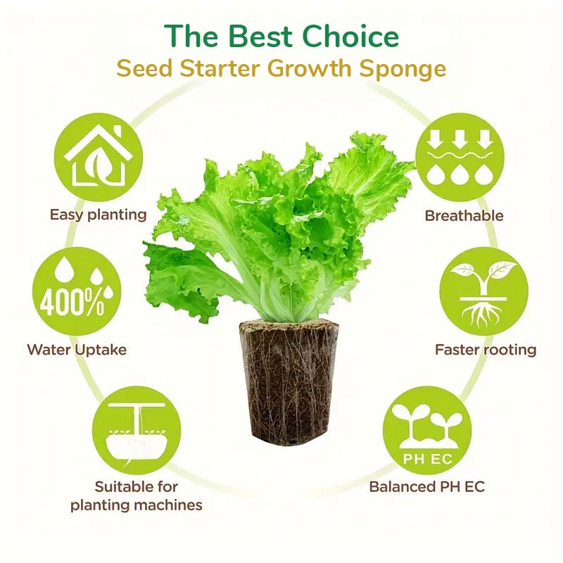 The Best Choice - Seed Starter Growth Sponge The Best Choice - Seed Starter Growth Sponge
