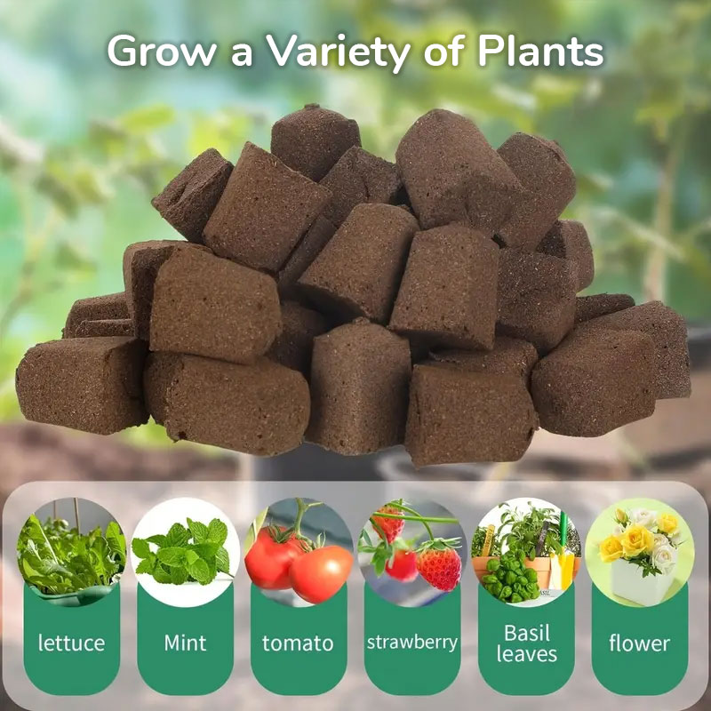 Grow a Variety of Plants Grow a Variety of Plants