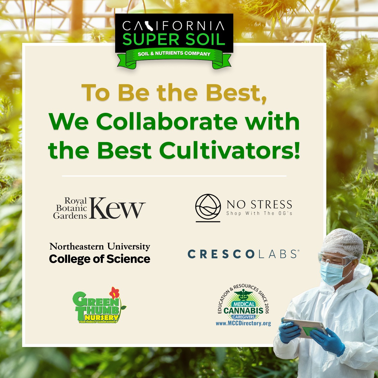 To Be the Best, We Collaborate with the Best Cultivators! To Be the Best, We Collaborate with the Best Cultivators!